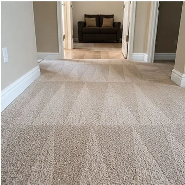 Carpet cleaning results in Maidstone VIC